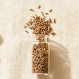 Carrot seeds