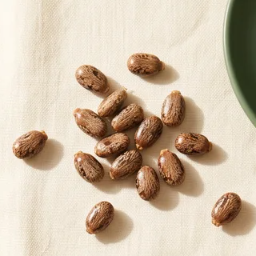 Castor seeds